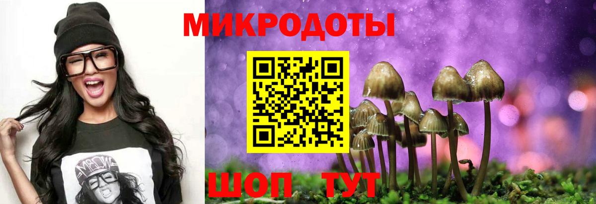 Железноводск  Галлюциногенные грибы ЛСД  Вход с VPN 