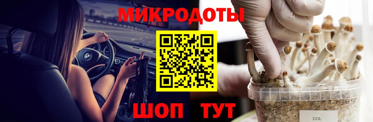 Псилоцибиновые грибы Psilocybe Железноводск